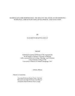 mammalian limb morphology: the role of the