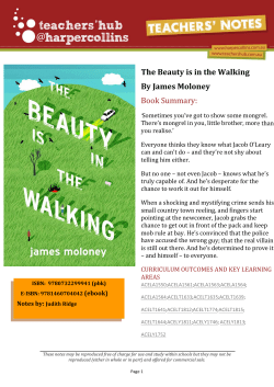 The Beauty is in the Walking By James Moloney