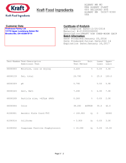 Kraft Food Ingredients