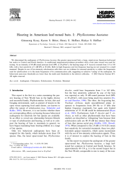 Hearing in American leaf-nosed bats. I: Phyllostomus hastatus