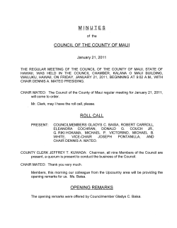 Minutes - County of Maui