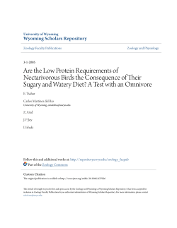 Are the Low Protein Requirements of Nectarivorous Birds the