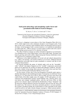 Sand grain mineralogy and morphology under forest and grassland