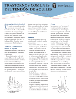 TRASTORNOS COMUNES DEL TEND&Oacute;N DE AQUILES