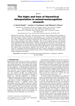 The highs and lows of theoretical interpretation in animal