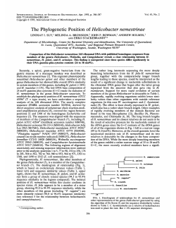 The Phylogenetic Position of Helicobacter nemestrinae