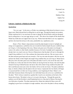 Literary Analysis-A Raisin in the Sun Symbolism