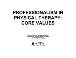 PROFESSIONALISM: CORE VALUES