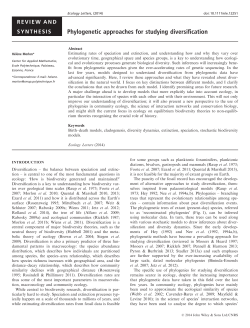 Phylogenetic approaches for studying diversification