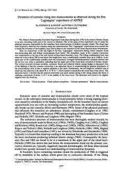 Dynamics of cumulus rising into stratocumulus as observed during