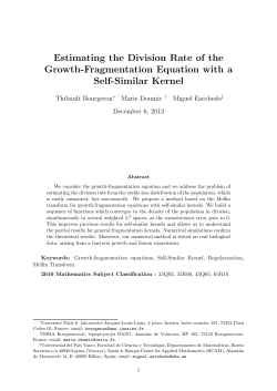 PDF - Basque Center for Applied Mathematics