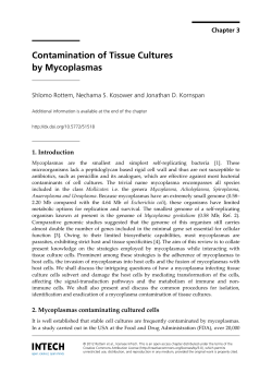 Contamination of Tissue Cultures by Mycoplasmas