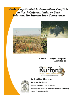 Detailed Final Report - Rufford Small Grants