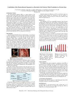 Contribution of the Meniscofemoral Ligament as a Restraint to the