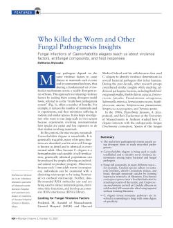 Who Killed the Worm and Other Fungal Pathogenesis Insights
