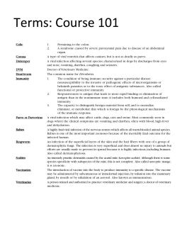 Terms: Course 101