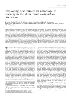 an advantage to sociality in the slime mold Dictyostelium discoideum