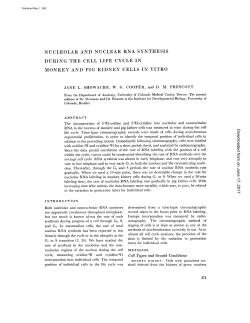 NUCLEOLAR AND NUCLEAR RNA SYNTHESIS DURING THE