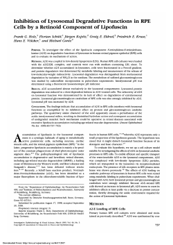 Inhibition of lysosomal degradative functions in RPE cells by