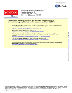 Bacteria subsisting on antibiotics