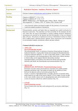 Experiment 8 Hydrolytic Enzymes: Amylases, Proteases