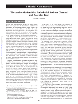 The Amiloride-Sensitive Endothelial Sodium Channel and Vascular