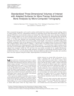 Standardized Three-Dimensional Volumes of Interest with Adapted
