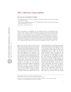 HIV-1 Reverse Transcription