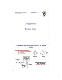 Bchem 3020 Part2 - U of L Class Index
