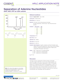 Separation of Adenine Nucleotides