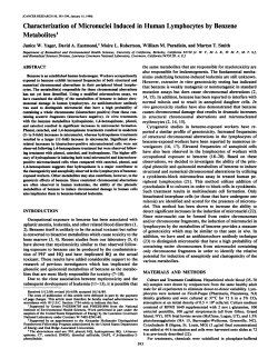 Characterization of Micronuclei Induced in Human Lymphocytes by