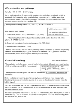 CO2 production and pathways Control of breathing
