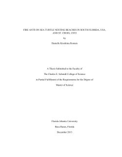 FIRE ANTS ON SEA TURTLE NESTING BEACHES IN SOUTH