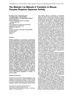 The Meiosis I-to-Meiosis II Transition in Mouse