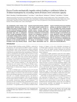 Excess F-actin mechanically impedes mitosis leading to cytokinesis