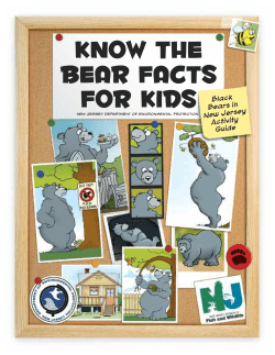 Know the Bear Facts for Kids