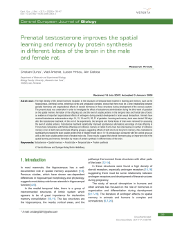 Prenatal testosterone improves the spatial learning and memory by