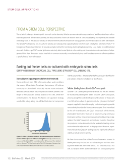 Flourescent Probes for Stem Cell Research Applications