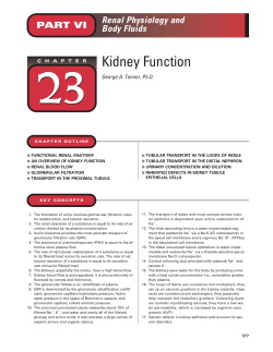 Kidney Function