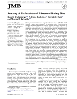 Anatomy of Escherichia coli ribosome binding sites