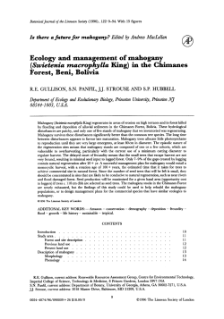 Ecology and management of mahogany