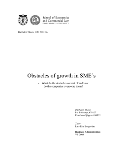 Obstacles of growth in SME&acute;s - GUPEA