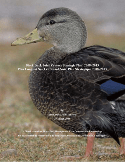 Strategic Plan - Black Duck Joint Venture