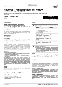 Reverse Transcriptase, M-MuLV - Sigma