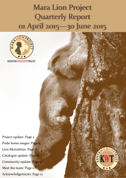 Mara Lion Project Mara Cheetah Project