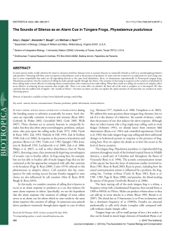 The Sounds of Silence as an Alarm Cue in Tngara Frogs