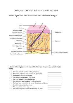 SKIN AND DERMATOLOGICAL PREPARATIONS