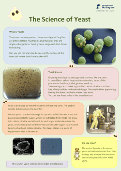 The Science of Yeast