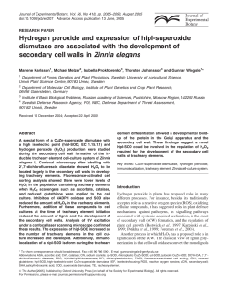 Hydrogen peroxide and expression of hipI
