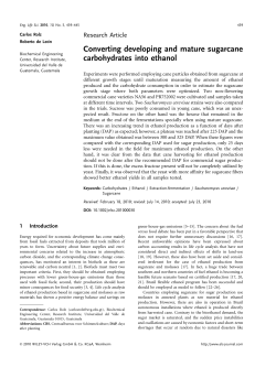 Converting developing and mature sugarcane carbohydrates into